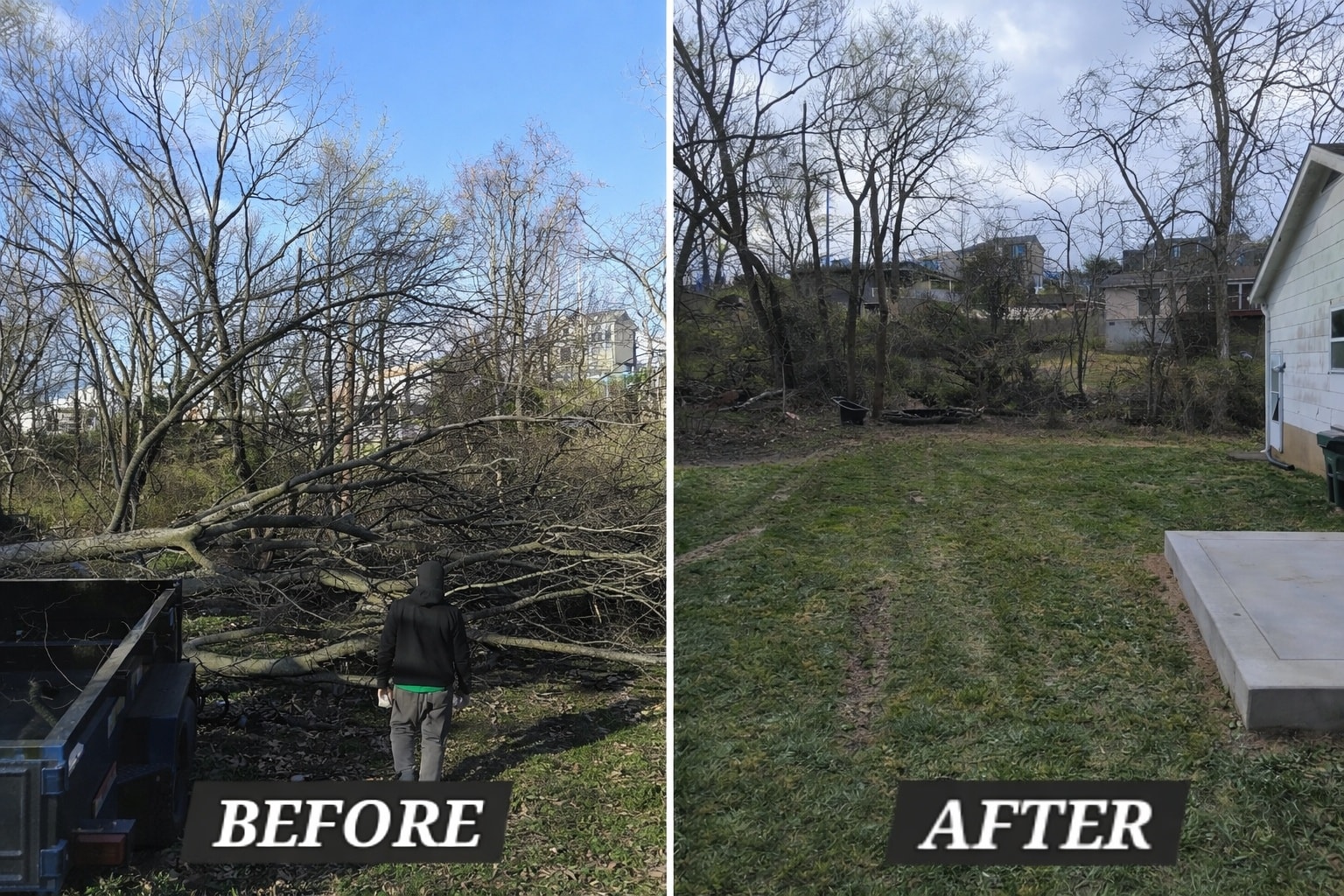 Lot clearing project