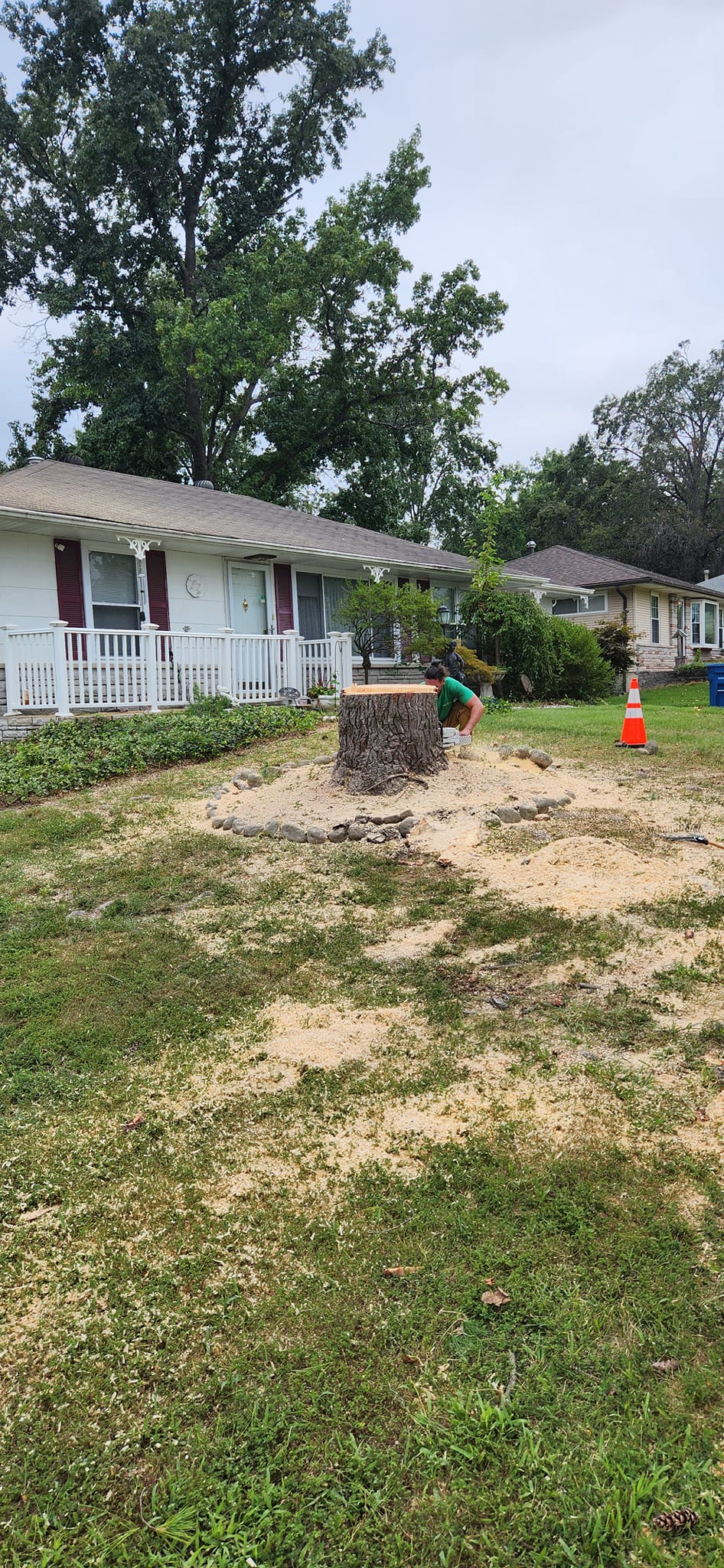 Stump grinding