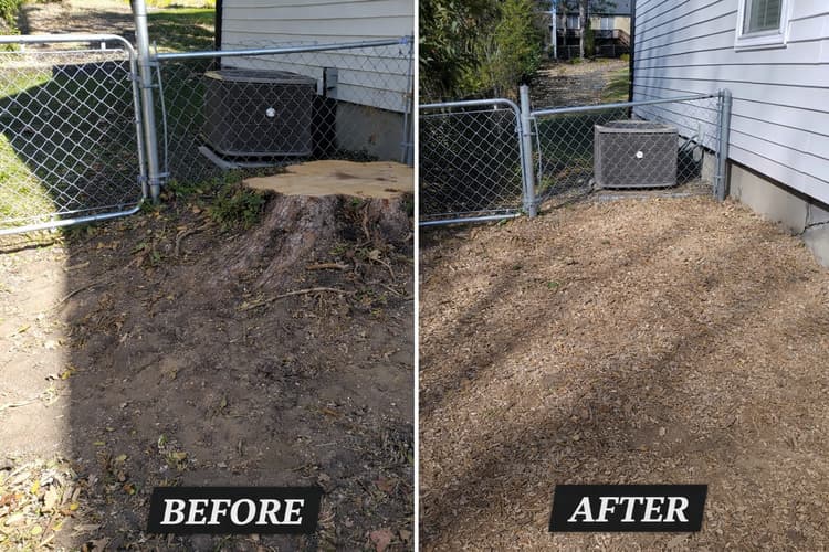 Stump removal
