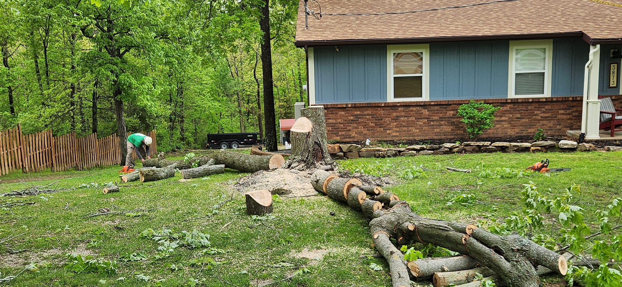 Residential tree removal
