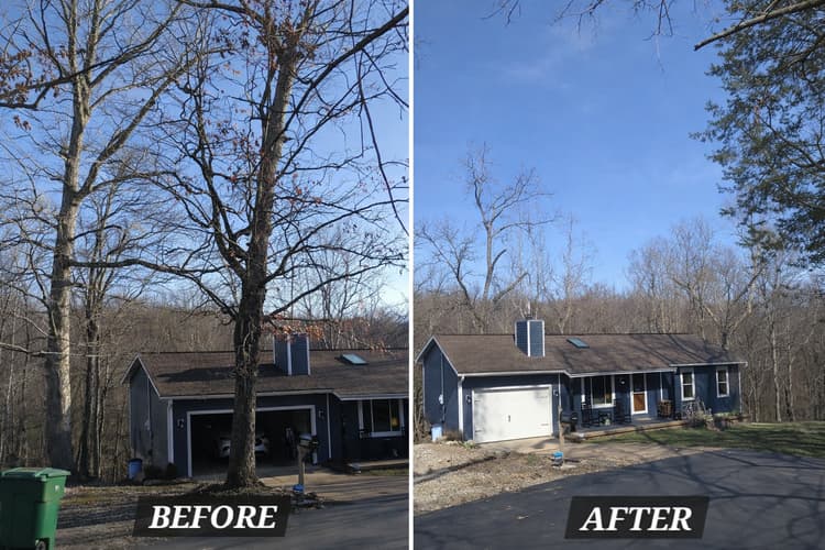 Before and after tree removal - residential property